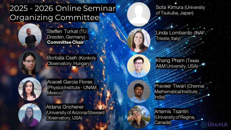 New IReNA Online Seminar Organizing Committee